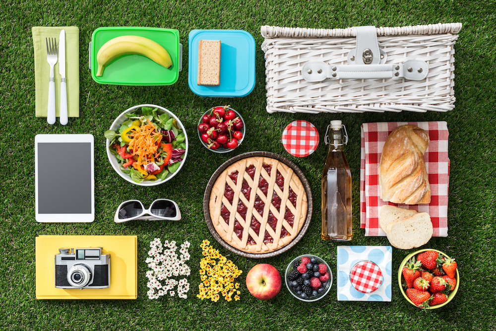 Be The Professional At Your Next Picnic Best Picnic Hacks Around
