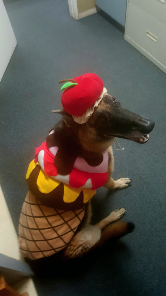tazzy won staxUP storage's costume contest